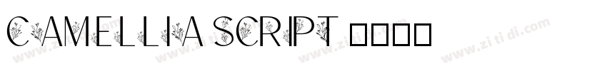 Camellia Script 字体转换